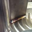 Stainless